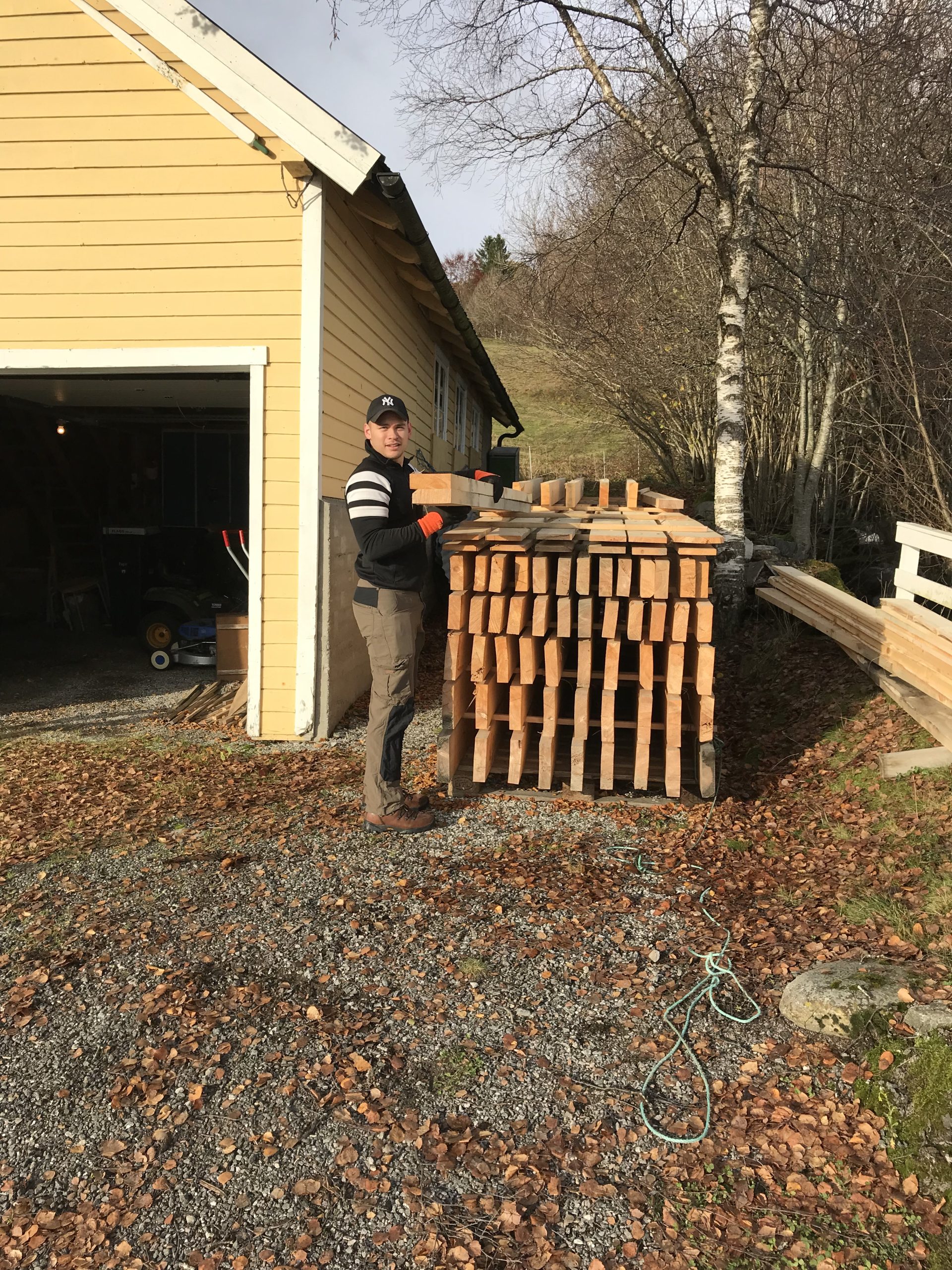 Trevirke – 2018-2024